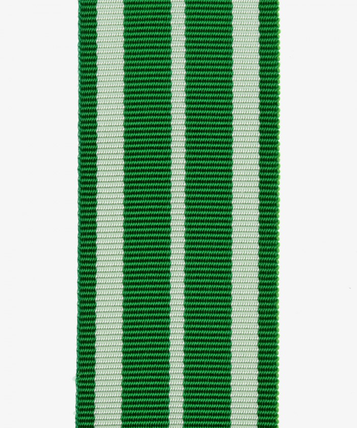 Saxony-Altenburg, Duke Ernst Medal, Bravery Medal (62)